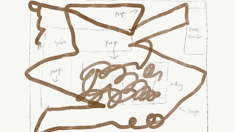 pooptastrophe-diagram-636067734032195161-13895077-776220970364-4589684107022964508-n
